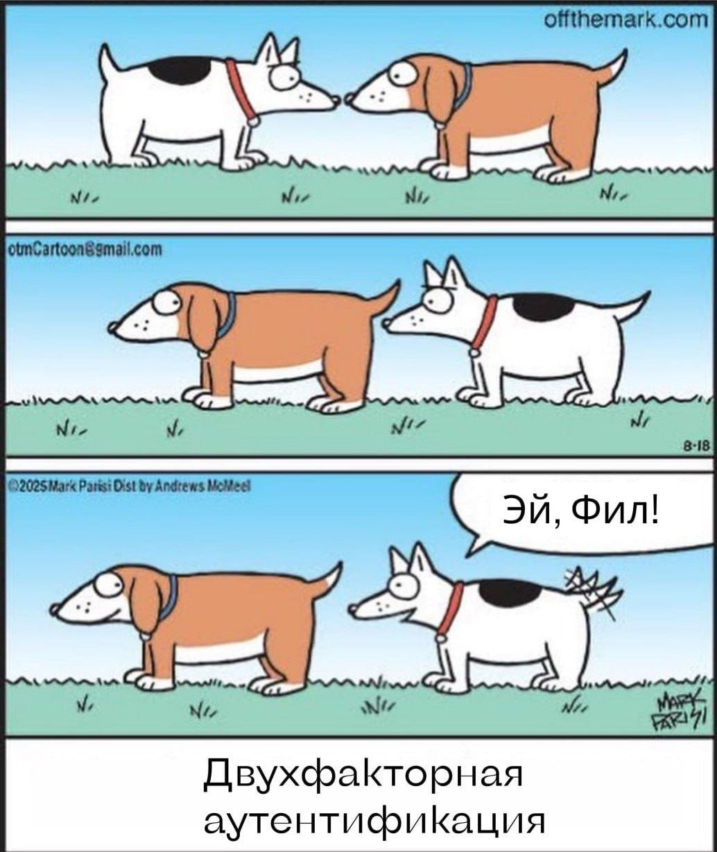 #life #dogs | Сетка — социальная сеть от hh.ru
