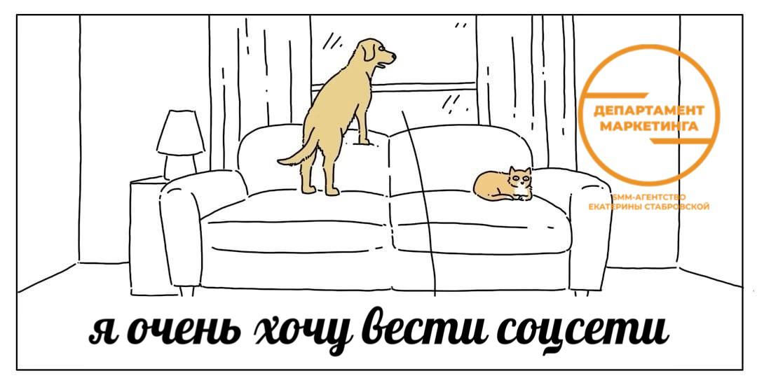 Немного юмора добавим в ленту 😂 | Сетка — социальная сеть от hh.ru
