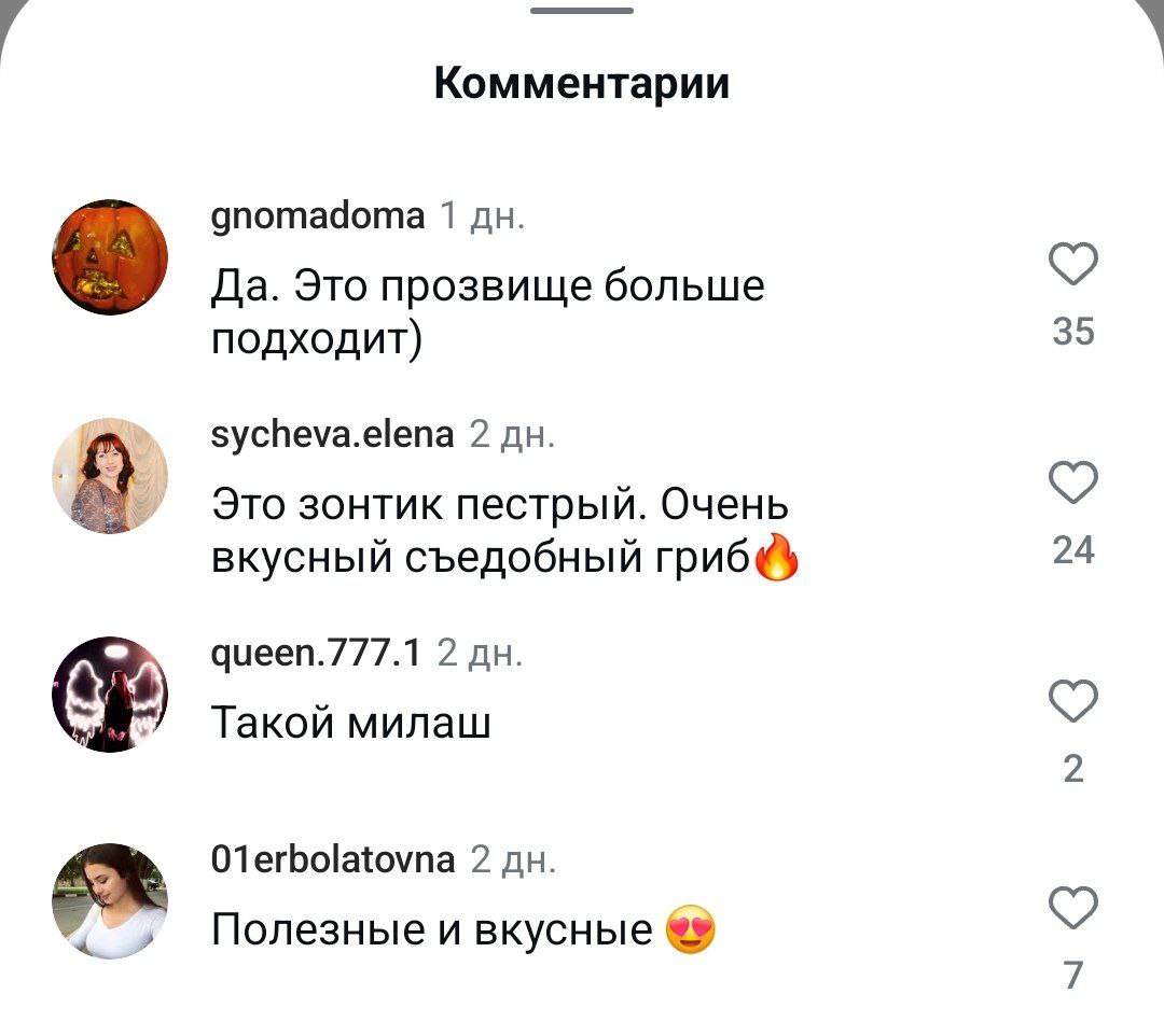Гном Гномыч теперь... Поган Поганыч. И нет, это не мы придумали, а сам парень запостил своё новое прозвище.
комментаторы такой выбор поддержали 🙉 | Сетка — социальная сеть от hh.ru