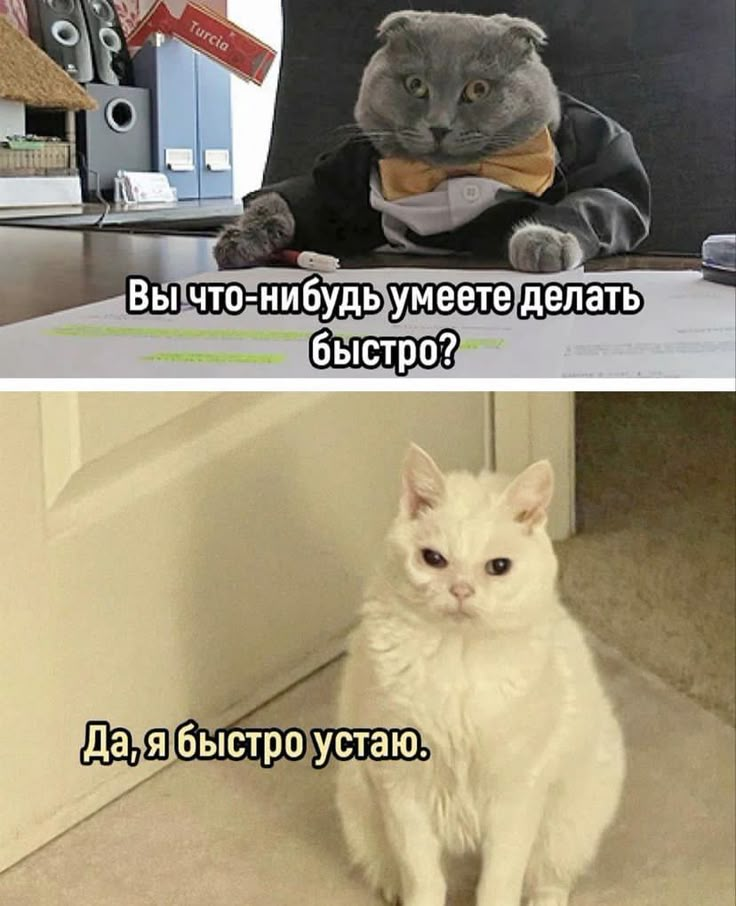 О чём говорят вопросы на собеседовании (и что за ними стоит) | Сетка — социальная сеть от hh.ru