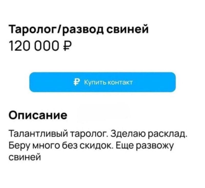 #shit | Сетка — социальная сеть от hh.ru