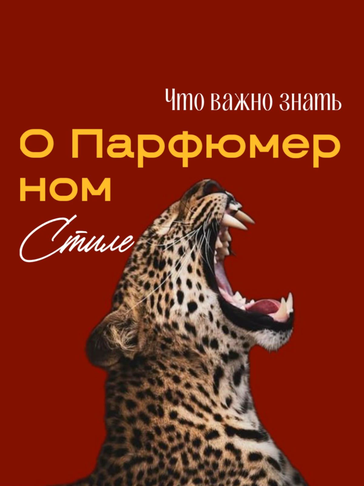О парфюмерном стиле | Сетка — социальная сеть от hh.ru