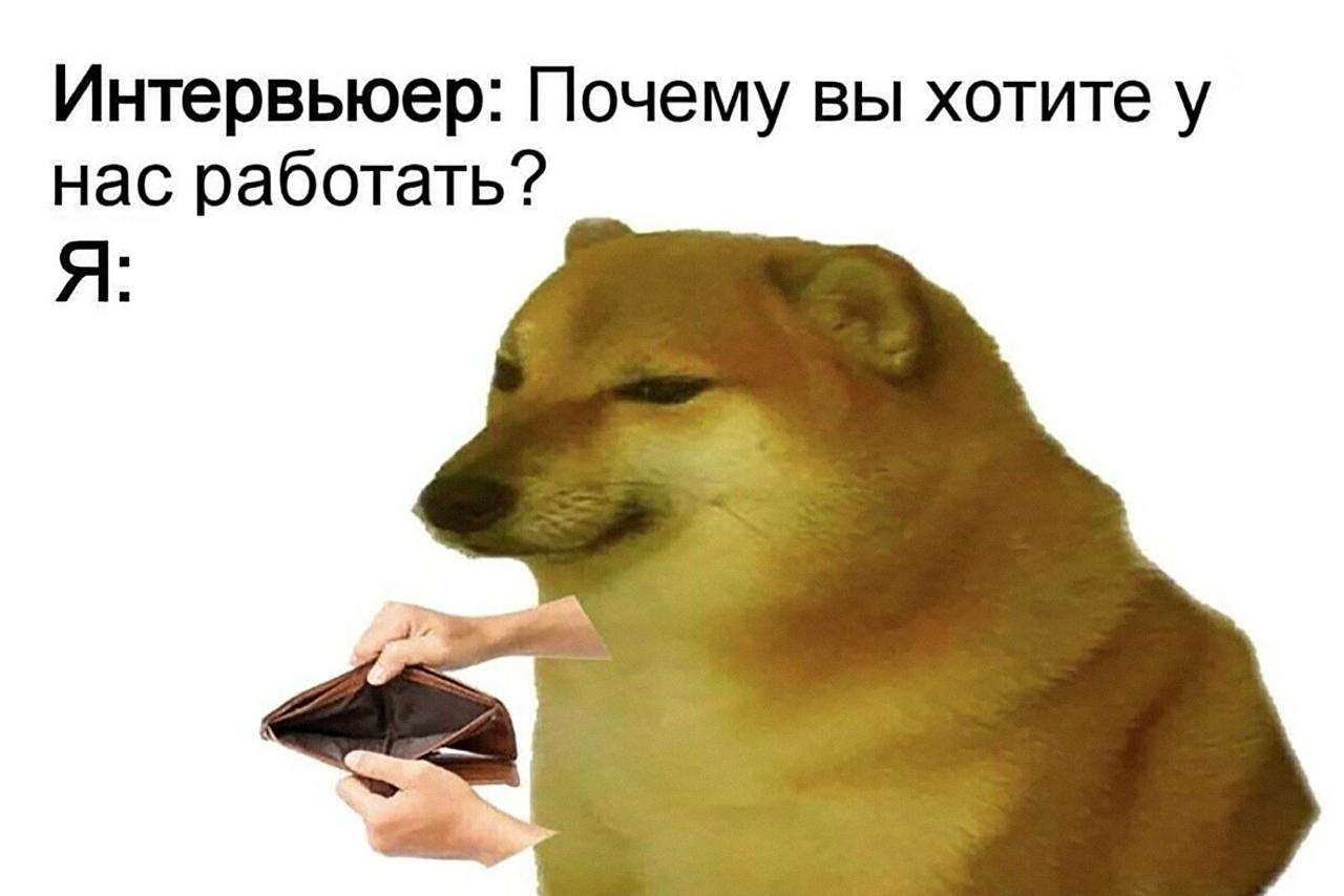 Я всё ещё тут, я не погибла. Да, немного утонула в собеседованиях, тестовых заданиях и личных переживаниях, признаюсь | Сетка — социальная сеть от hh.ru