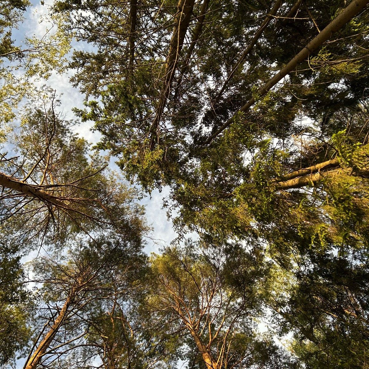 Виктория Ступа | Сетка — социальная сеть от hh.ru