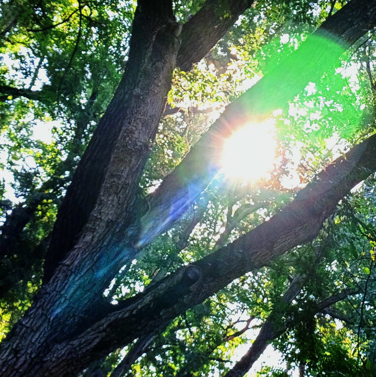 Что такое жизнь? | Сетка — социальная сеть от hh.ru