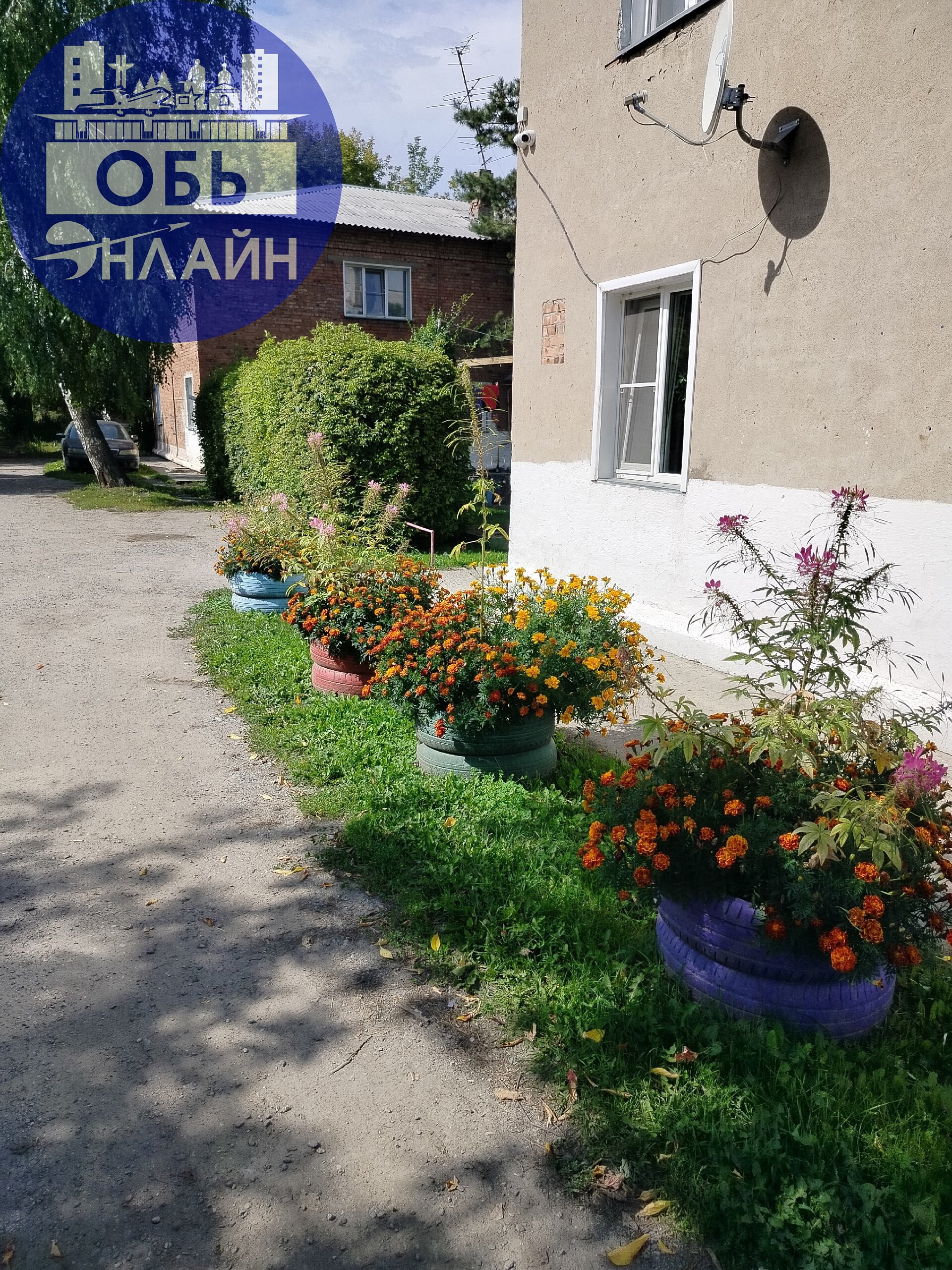 ↗ Немного о прекрасном😊 красота создается людьми.
Хочется сказать огромное СПАСИБО 💖 жильцам, которые облагораживают територии возле своих подъездов. Проходишь прям красота-красота | Сетка — социальная сеть от hh.ru