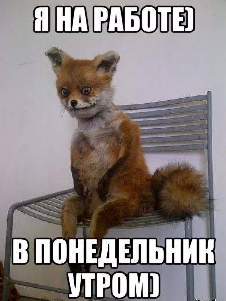 Понедельничный мем)
Кидайте свои в комментарии🩷 | Сетка — социальная сеть от hh.ru