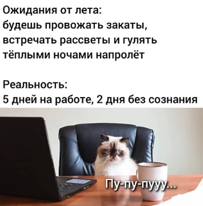 Труженики! 🐝
А какие у вас ожидания/реальность от лета? | Сетка — социальная сеть от hh.ru