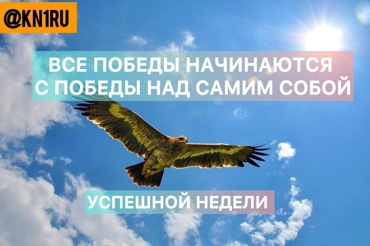 #кн1авг2на2 #kn1ru #kn1man #Nov #развитие
В этом посте были ссылки, но мы их удалили по правилам Сетки | Сетка — социальная сеть от hh.ru