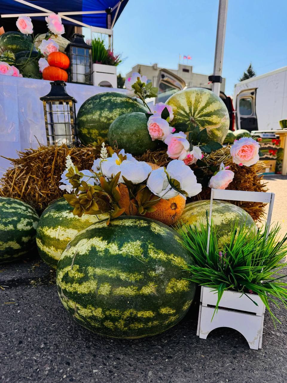 🍉Фестиваль «Арбузный переполох» прошёл в Зеленокумске
📷 sgyltyaev | Сетка — социальная сеть от hh.ru