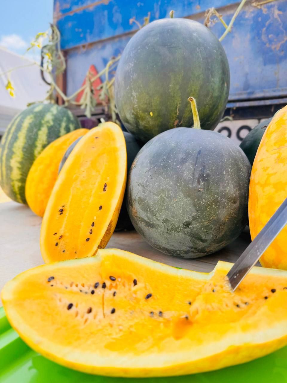 🍉Фестиваль «Арбузный переполох» прошёл в Зеленокумске
📷 sgyltyaev | Сетка — социальная сеть от hh.ru