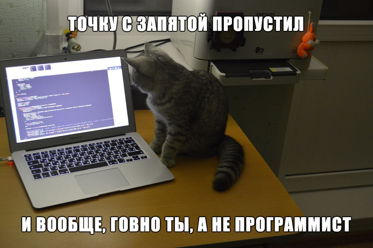 КОШАК НАУЧИЛ МЕНЯ ДЕЛАТЬ СКРИПТЫ ДЛЯ БОТОВ В 5 РАЗ ЭФФЕКТИВН | Сетка — социальная сеть от hh.ru