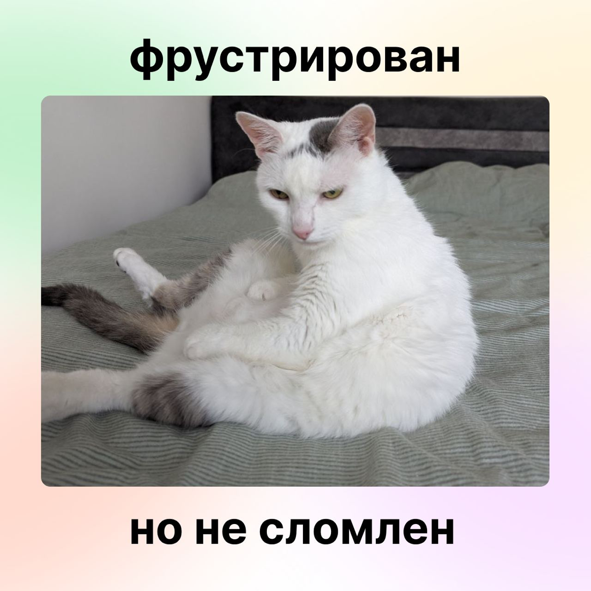 Навыки будущего: фрустрация | Сетка — социальная сеть от hh.ru