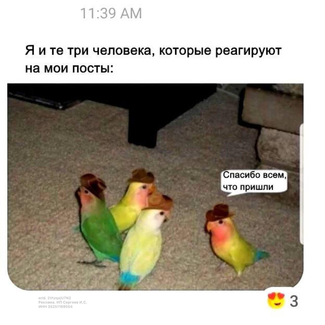 100K подписчиков за 90 дней на "ленивых" роликах.
И это не кликбейт для привлечения внимания!
Пока одни мучаются снимать Reels, которые не залетают, не приносят просмотров и денег | Сетка — социальная сеть от hh.ru