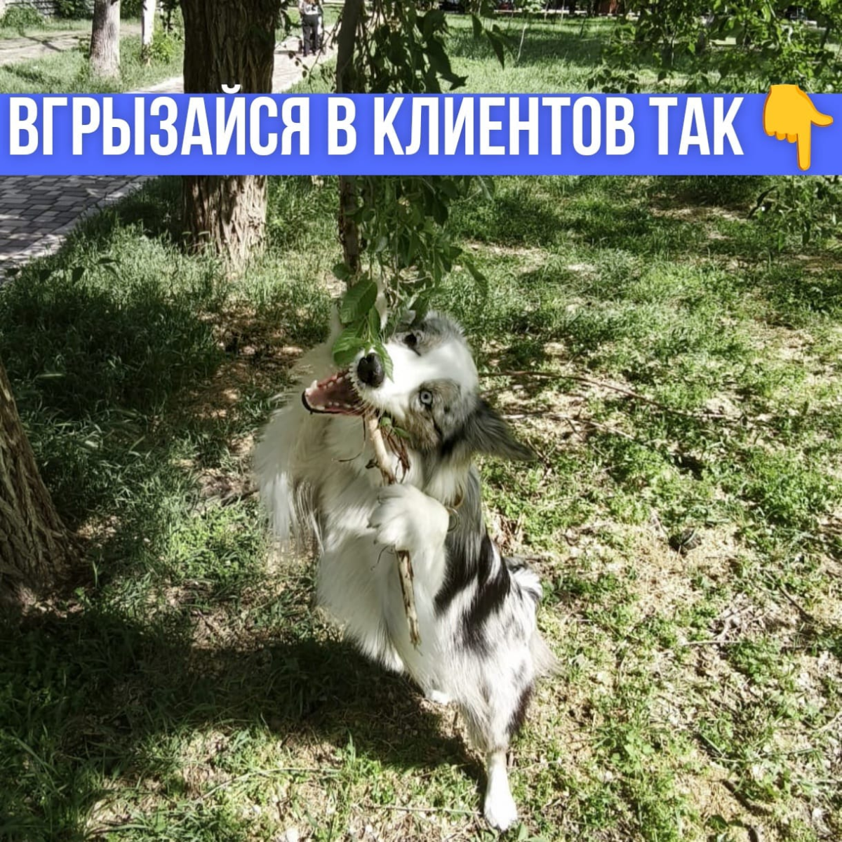 Гайд про холодные продажи: как не звучать как спам | Сетка — социальная сеть от hh.ru