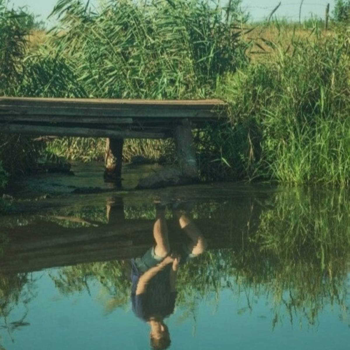 Павел Шевцов