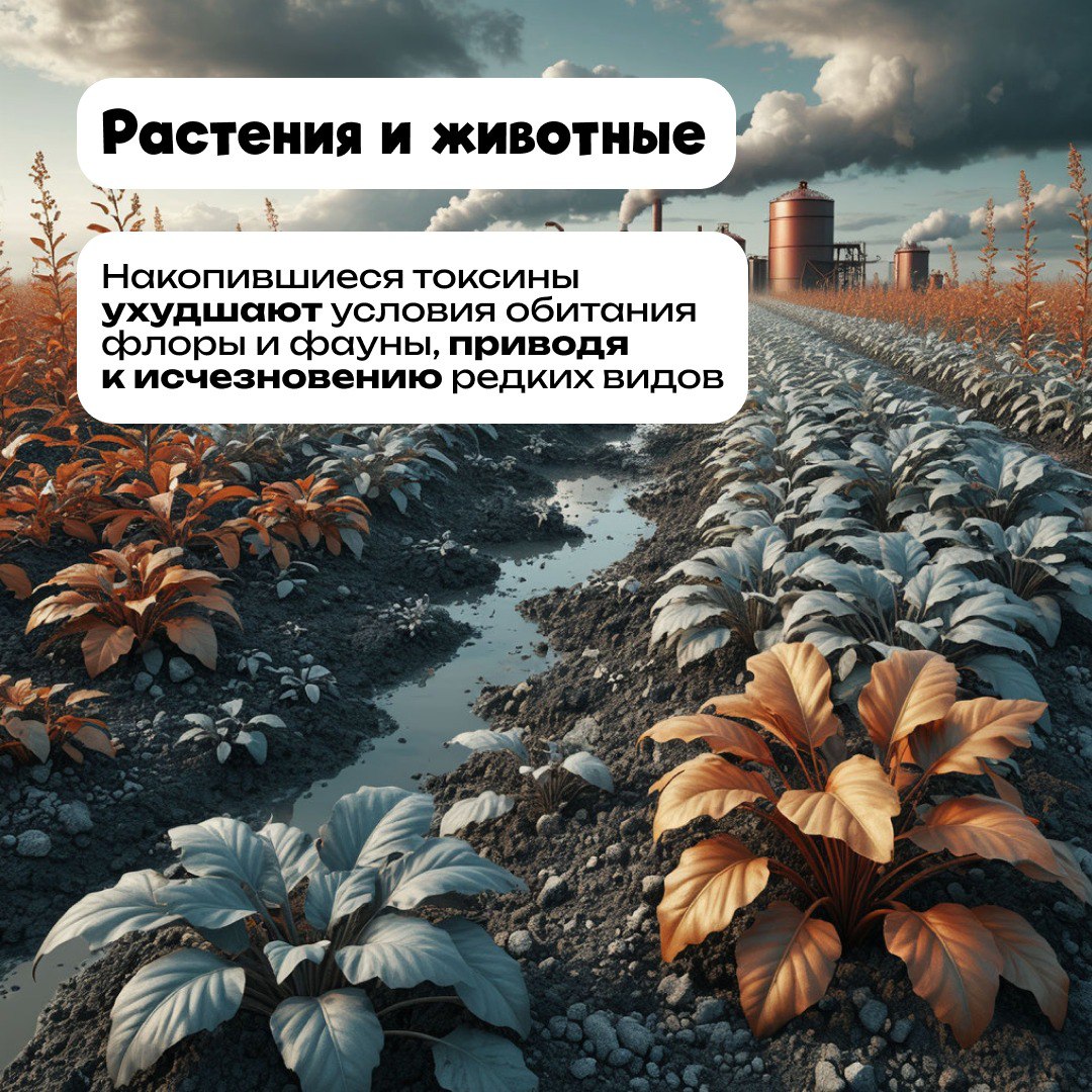 Неправильное обращение с отходами нарушает природный баланс и приводит к тяжелым последствиям
Каким образом простой пакетик или пластиковая бутылка разрушают природу? Рассказали в карточках. | Сетка — социальная сеть от hh.ru
