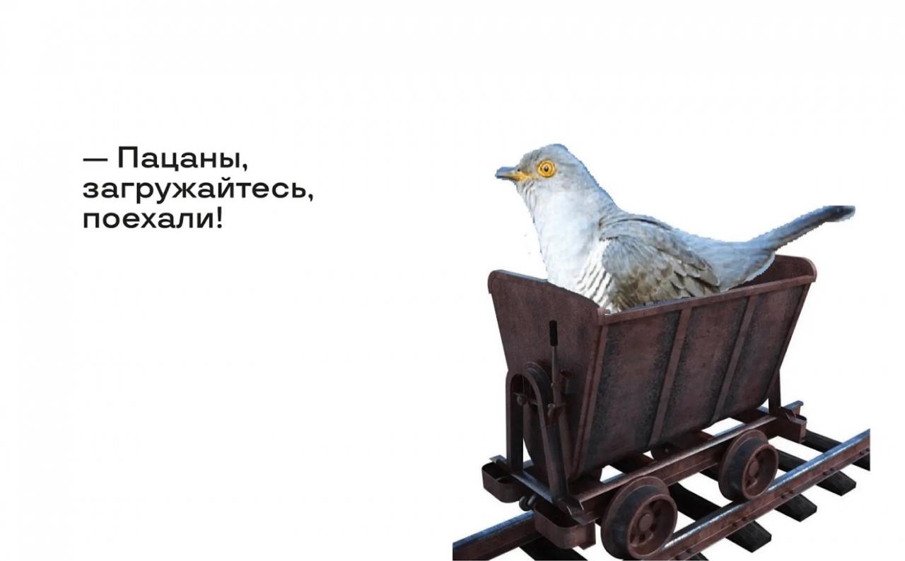 🙂 Как проводить интервью и не поехать кукUXой
Борис Юзефпольский из Островка заметил, что его команда исследователей выглядит как выжатый лимон после утренних интервью | Сетка — социальная сеть от hh.ru