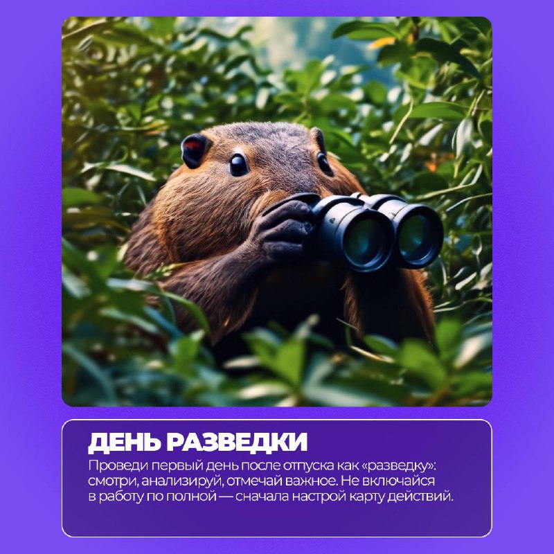 Сезон найма уже близко….
….и каждый день может стать стартом для новых возможностей⚡️
Чтобы вернуться к работе с максимальной отдачей, мы подготовили необычные, но реально работающие советы | Сетка — социальная сеть от hh.ru