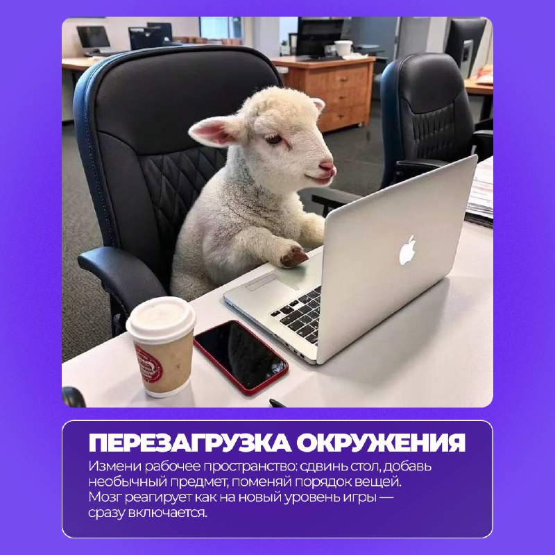 Сезон найма уже близко….
….и каждый день может стать стартом для новых возможностей⚡️
Чтобы вернуться к работе с максимальной отдачей, мы подготовили необычные, но реально работающие советы | Сетка — социальная сеть от hh.ru