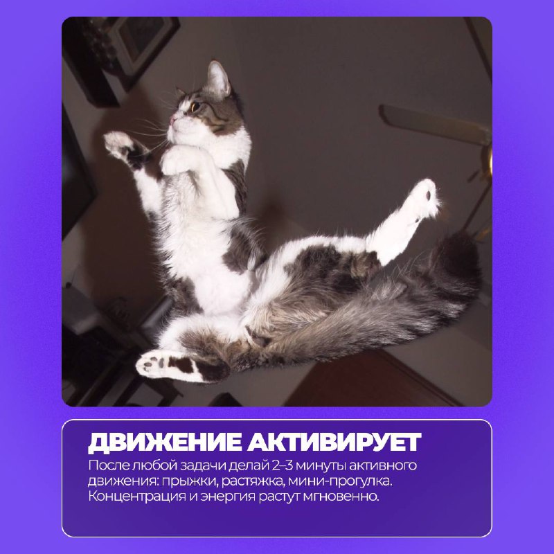 Сезон найма уже близко….
….и каждый день может стать стартом для новых возможностей⚡️
Чтобы вернуться к работе с максимальной отдачей, мы подготовили необычные, но реально работающие советы | Сетка — социальная сеть от hh.ru