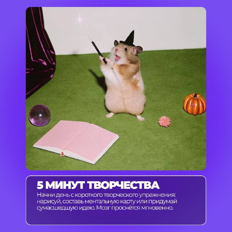 Сезон найма уже близко….
….и каждый день может стать стартом для новых возможностей⚡️
Чтобы вернуться к работе с максимальной отдачей, мы подготовили необычные, но реально работающие советы | Сетка — социальная сеть от hh.ru