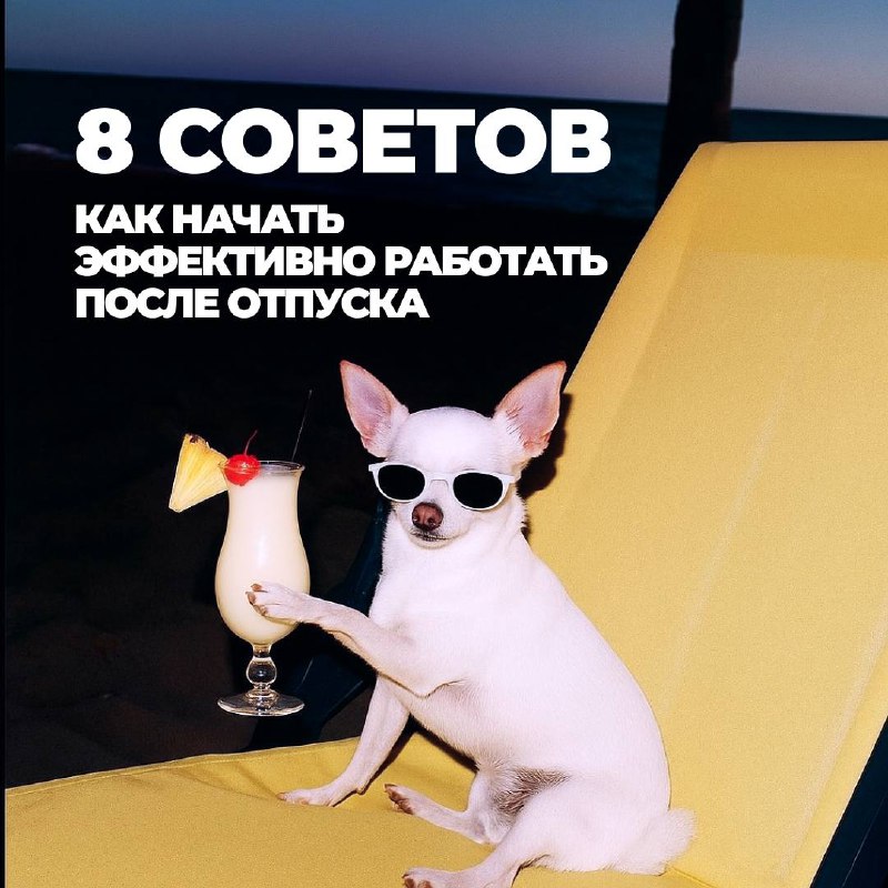Сезон найма уже близко….
….и каждый день может стать стартом для новых возможностей⚡️
Чтобы вернуться к работе с максимальной отдачей, мы подготовили необычные, но реально работающие советы | Сетка — социальная сеть от hh.ru