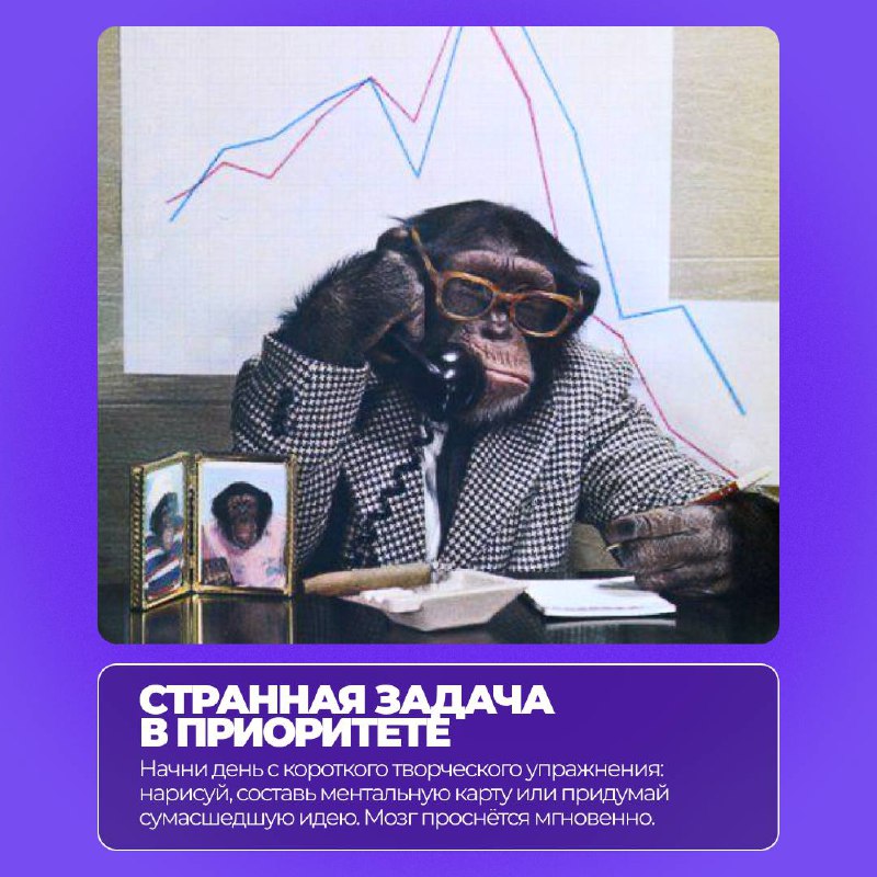 Сезон найма уже близко….
….и каждый день может стать стартом для новых возможностей⚡️
Чтобы вернуться к работе с максимальной отдачей, мы подготовили необычные, но реально работающие советы | Сетка — социальная сеть от hh.ru