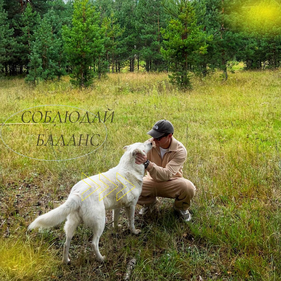 📌Делюсь тем, что помогает мне
Уже долгое время я помогаю компаниям реализовывать проекты Ментального здоровья, где главный фокус - это люди🙌
В современном ритме жизни наш мозг постоянно перегружен инф... | Сетка — социальная сеть от hh.ru