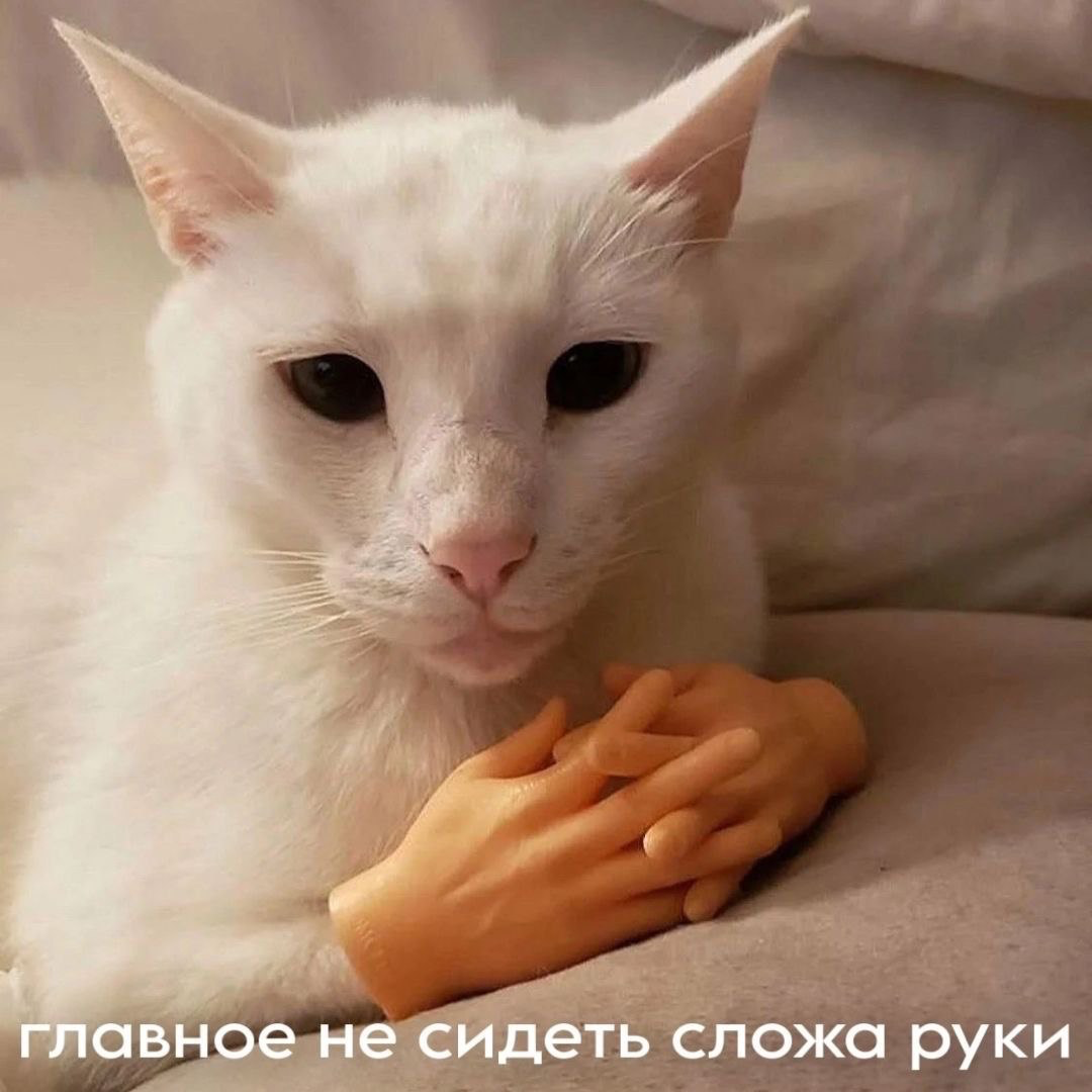 Я ищу работу на позицию таргетолога! | Сетка — социальная сеть от hh.ru
