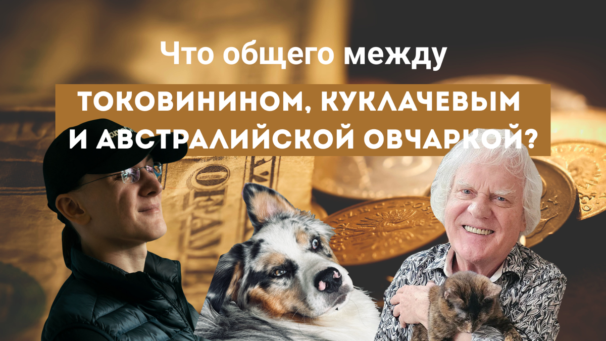 Что общего между Токовининым, Куклачёвым и аусси? | Сетка — социальная сеть от hh.ru