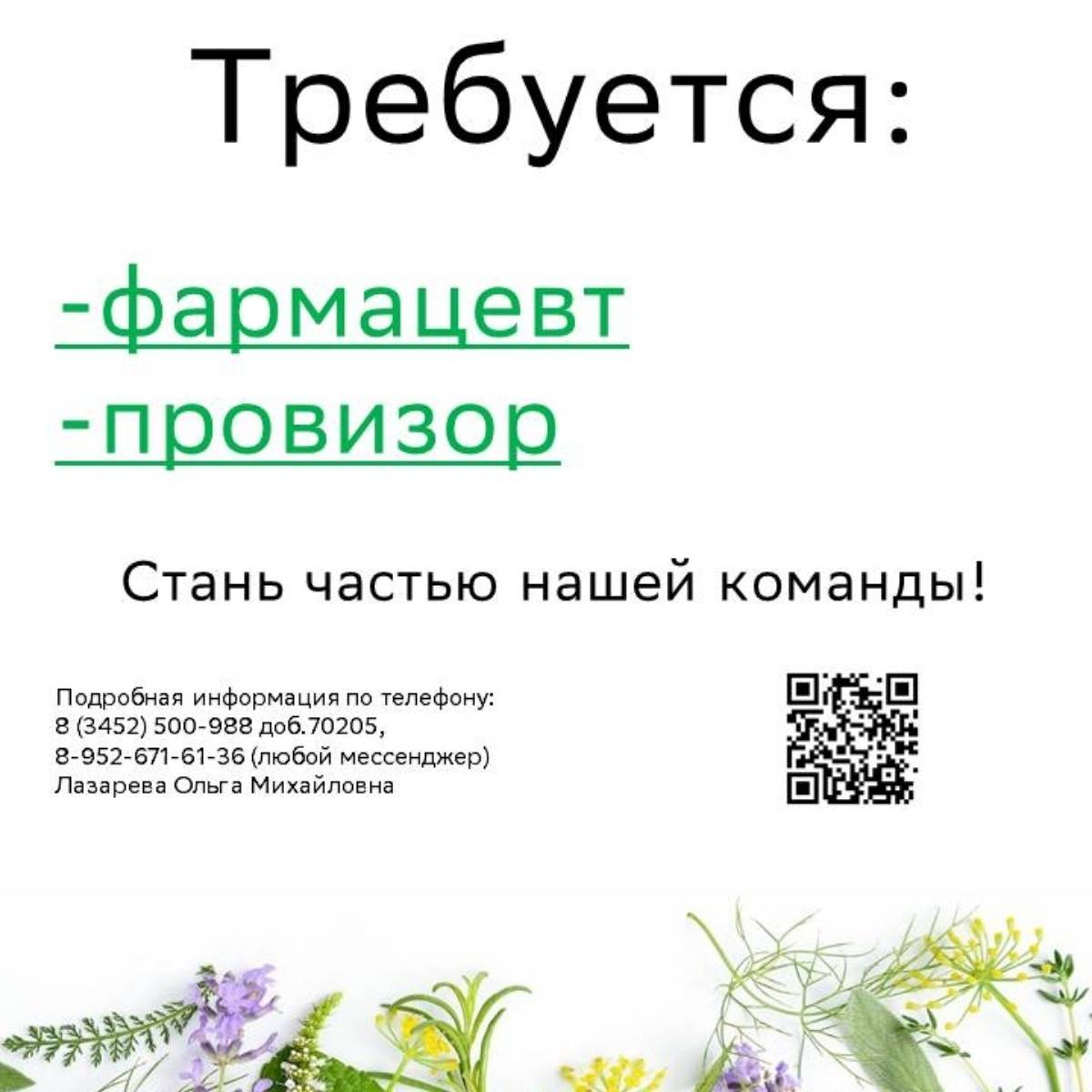 Фармация Фармация | Сетка — социальная сеть от hh.ru