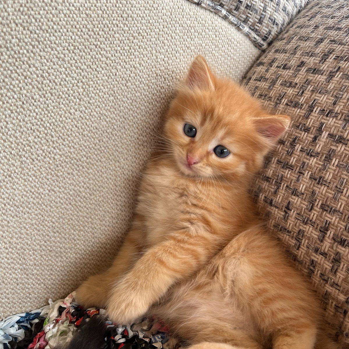 Валентина Иванова | Сетка — социальная сеть от hh.ru