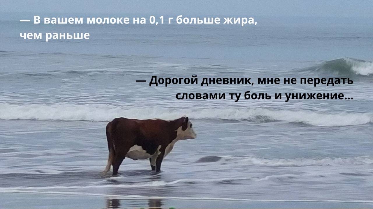 Тот самый случай, когда лишний жирок больше не спрячешь, потому что за всем будет следить он — «Меркурий 3.0» | Сетка — социальная сеть от hh.ru