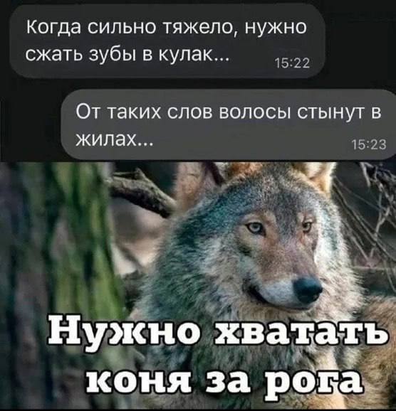 Зачем на обиженных воду возят? 🌊
Кто такой «курилка»? 🚬
Зачем пускать пыль в глаза? 💨
Почему обещанного три года ждут? ⏳
Многие используют эти выражения в разговорах, но немногие понимают их действите... | Сетка — социальная сеть от hh.ru