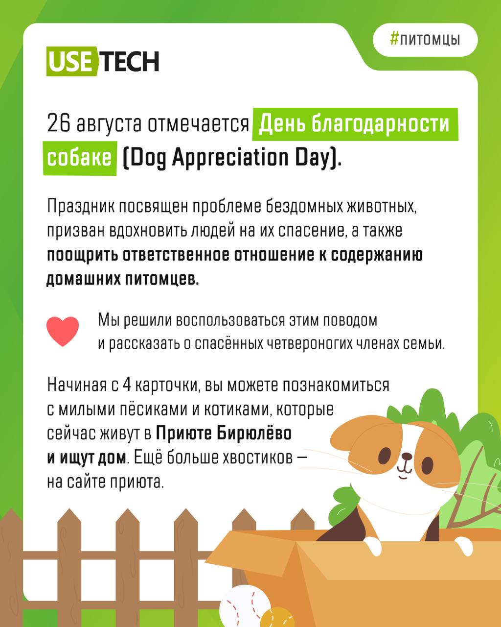🐶 С днём благодарности собаке!
Сегодня прекрасный повод побаловать своего четвероногого любимца вкусняшкой — мир отмечает День благодарности собаке. Праздник посвящен проблеме бездомных животных | Сетка — социальная сеть от hh.ru