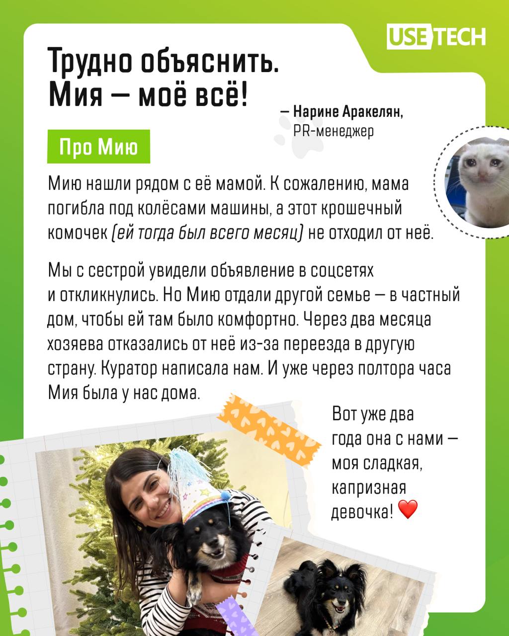 🐶 С днём благодарности собаке!
Сегодня прекрасный повод побаловать своего четвероногого любимца вкусняшкой — мир отмечает День благодарности собаке. Праздник посвящен проблеме бездомных животных | Сетка — социальная сеть от hh.ru