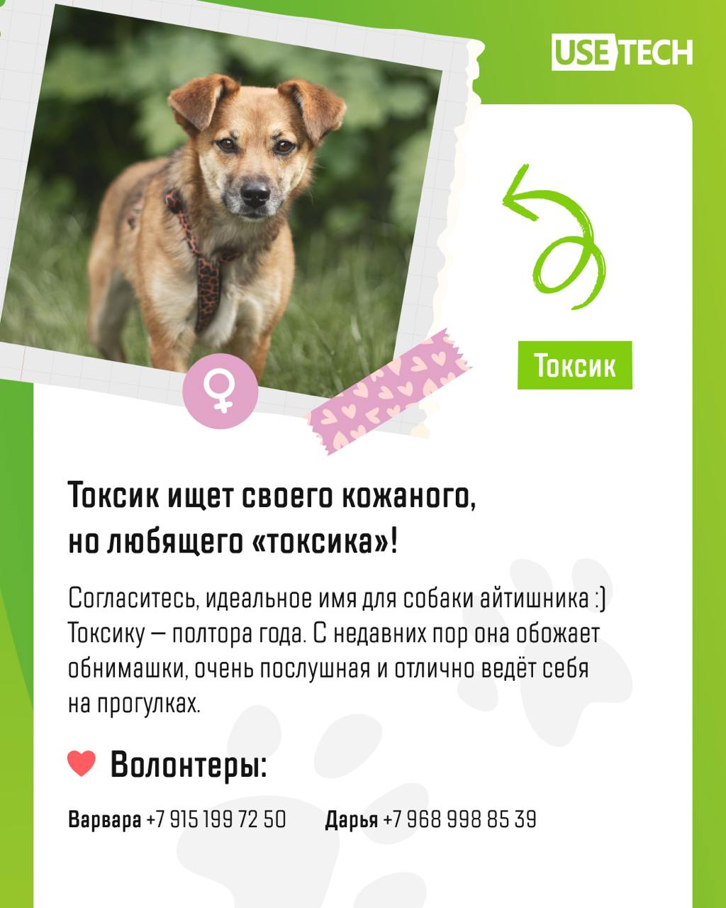 🐶 С днём благодарности собаке!
Сегодня прекрасный повод побаловать своего четвероногого любимца вкусняшкой — мир отмечает День благодарности собаке. Праздник посвящен проблеме бездомных животных | Сетка — социальная сеть от hh.ru