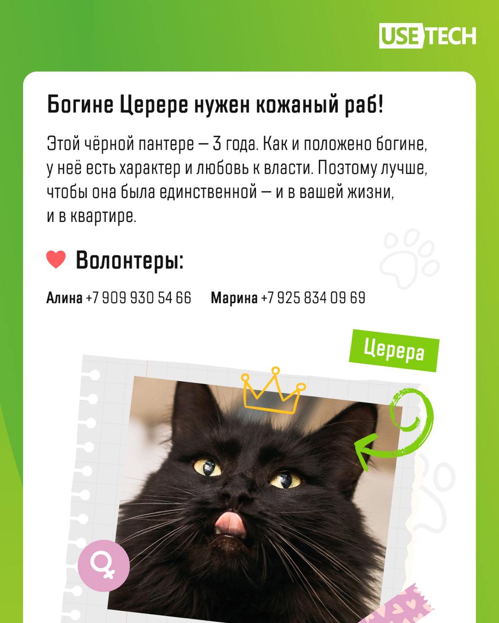 🐶 С днём благодарности собаке!
Сегодня прекрасный повод побаловать своего четвероногого любимца вкусняшкой — мир отмечает День благодарности собаке. Праздник посвящен проблеме бездомных животных | Сетка — социальная сеть от hh.ru