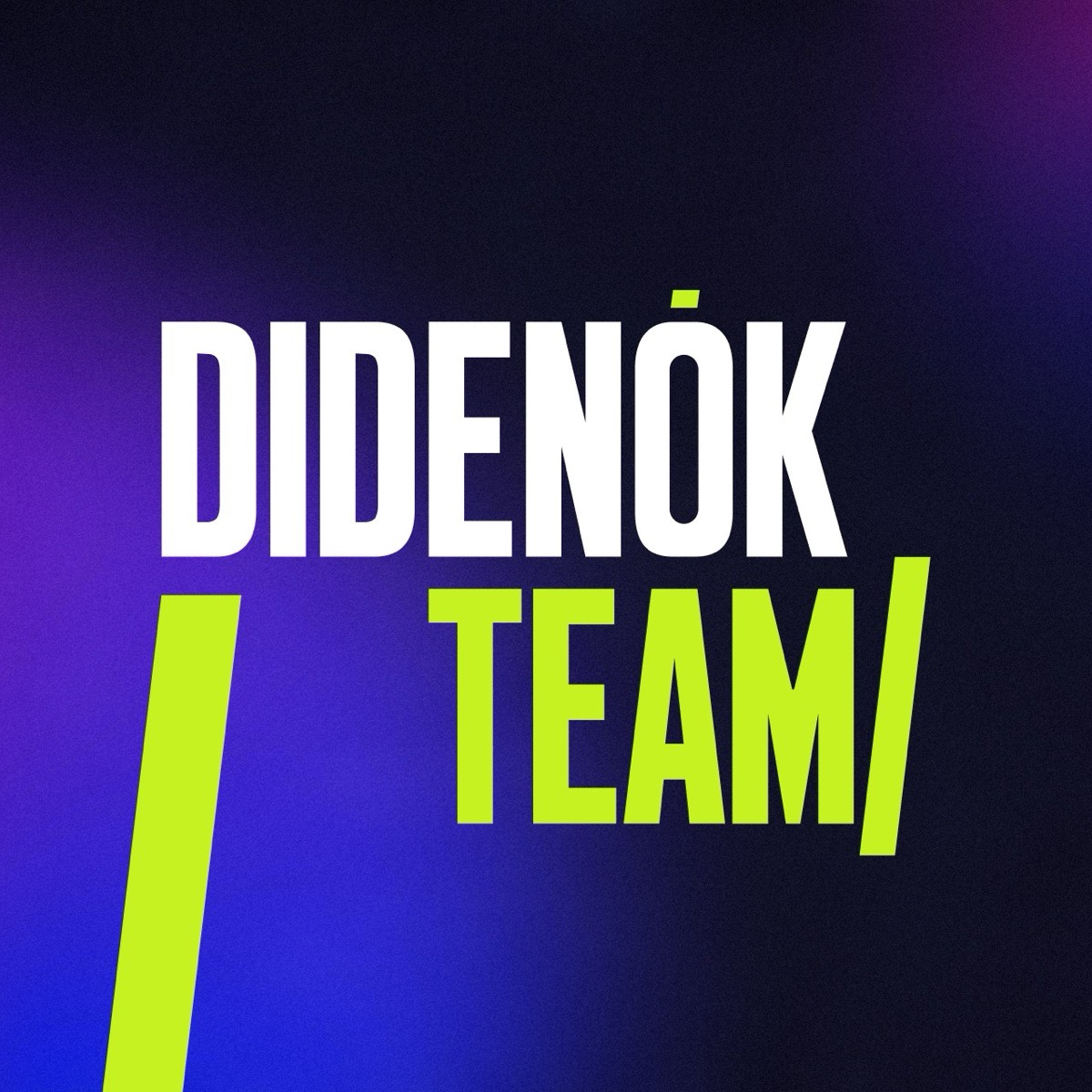 DIDENOK TEAM