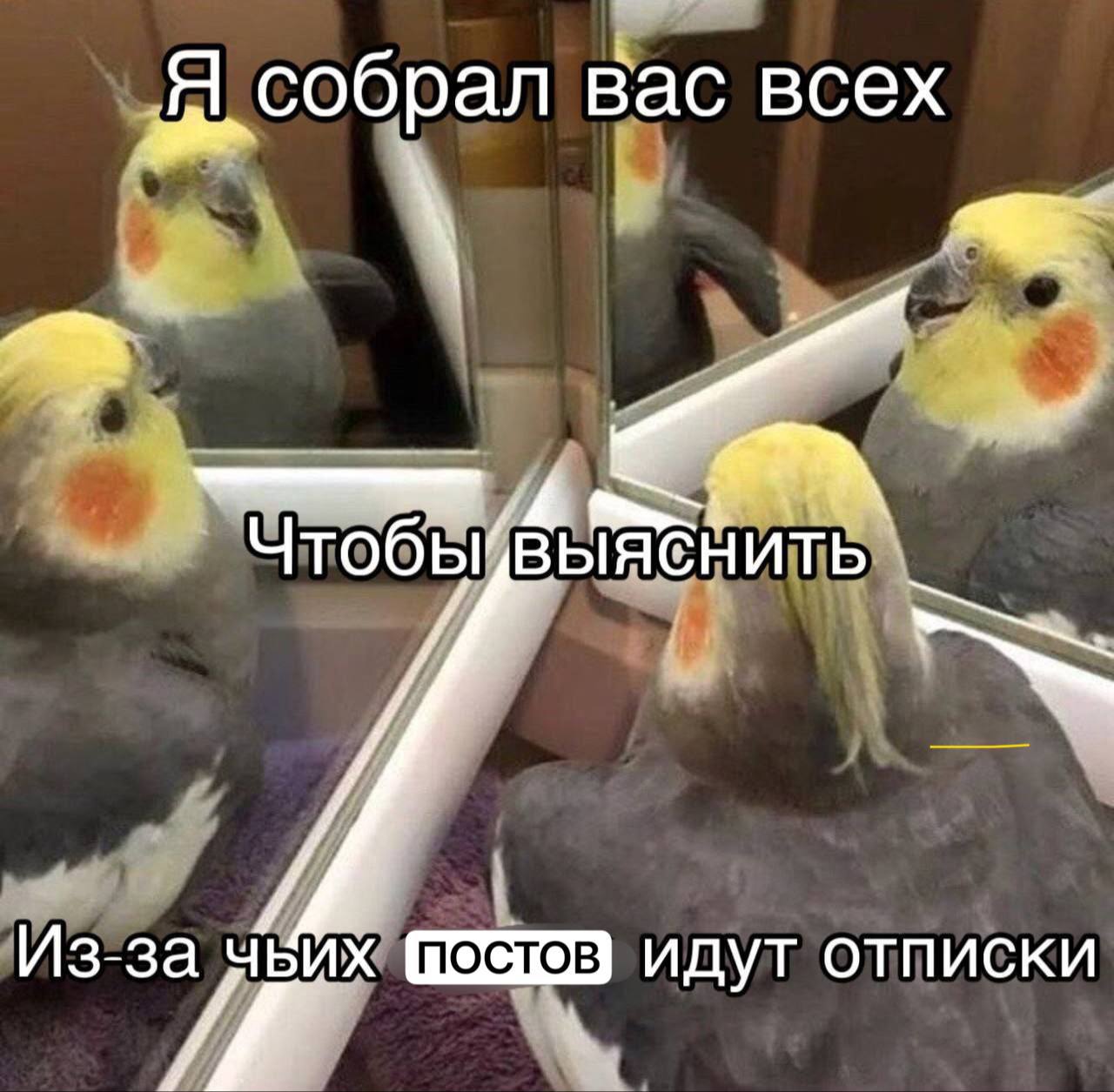Вдогонку ко вчерашнему посту. Я забыла рассказать про то, что помимо всего вот этого, нас еще ждет маркировка звонков.
То есть лидген тоже пострадает | Сетка — социальная сеть от hh.ru