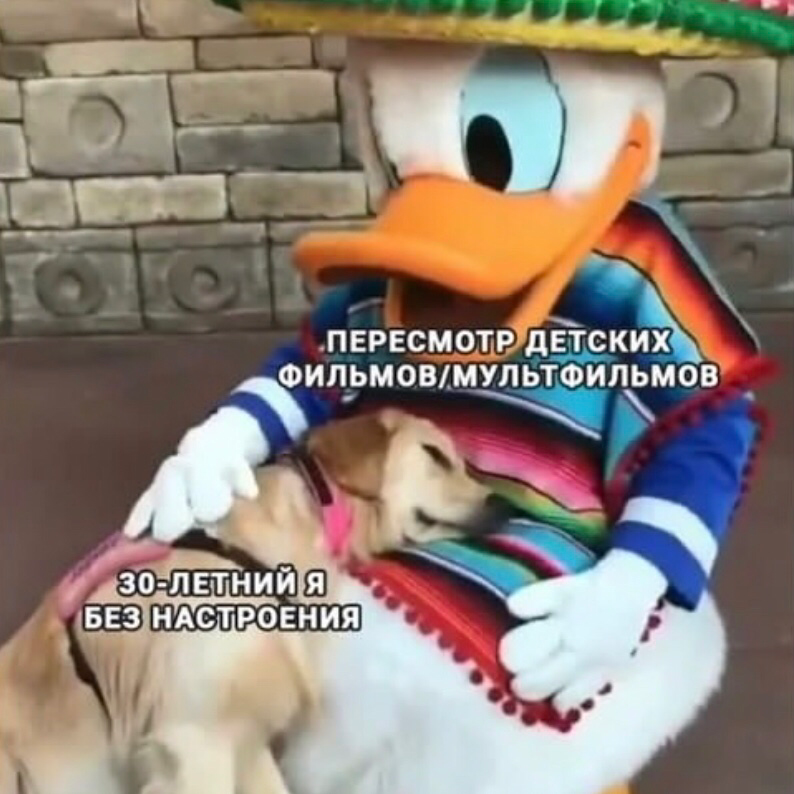 Хочу постить всякие смешные картинки, пусть будет тут✨ | Сетка — социальная сеть от hh.ru