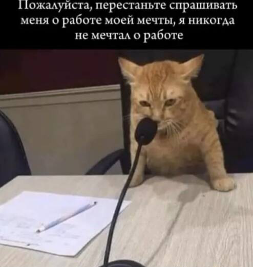 💘 Собеседование или свидание? | Сетка — социальная сеть от hh.ru