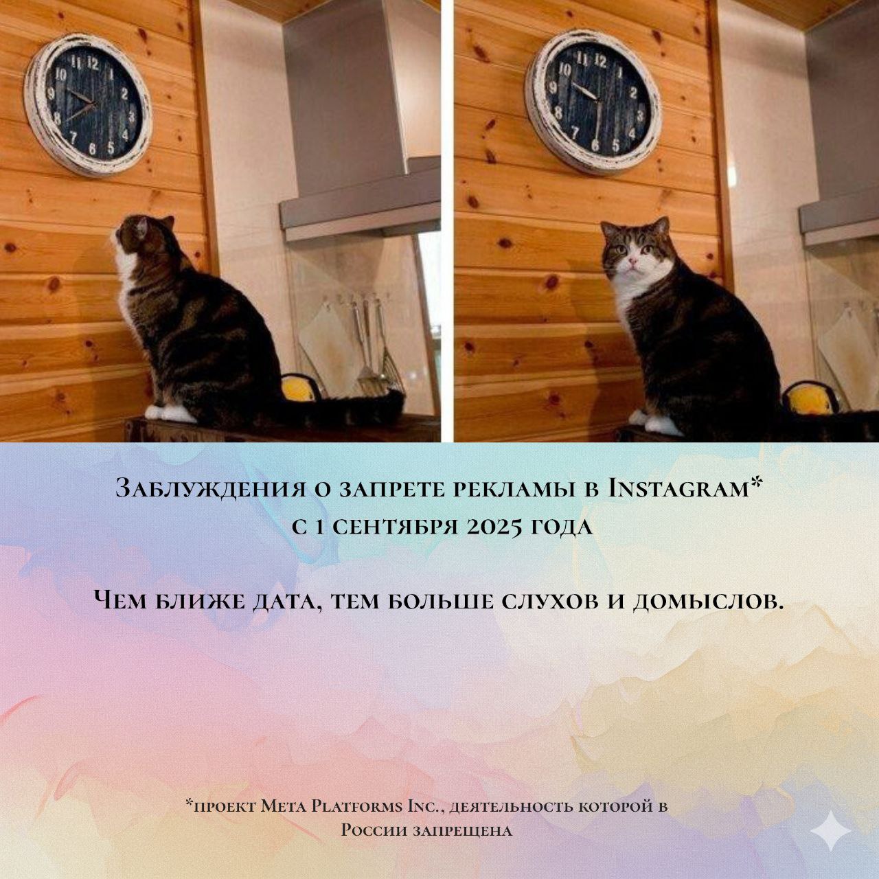 Напоминание и заблуждение о рекламе в инсте*с 1 сентября | Сетка — социальная сеть от hh.ru