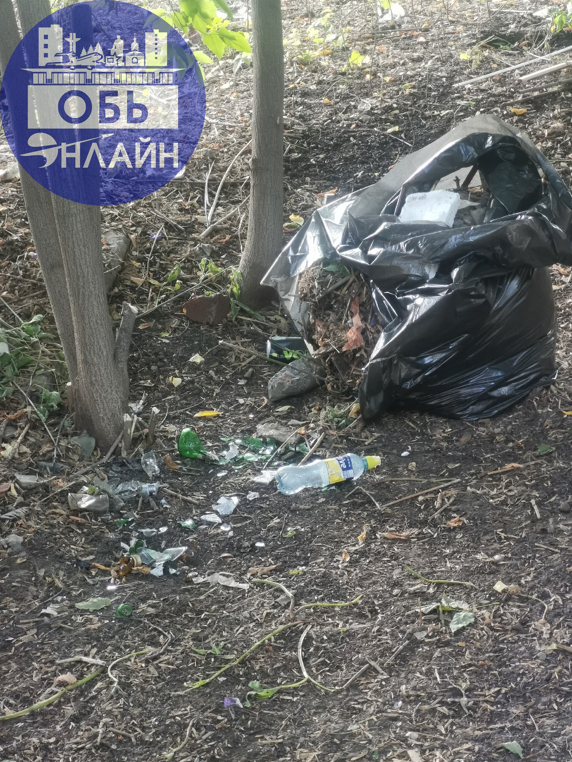 ↗ Жители улицы Октябрьская, поговорите со своими детьми и собой, проведите анализ, почему вы или ваши детки такие свиньи

Выйти помочь? Нет, ни в коем случае, будем в окно наблюдать, а потом придем и ... | Сетка — социальная сеть от hh.ru