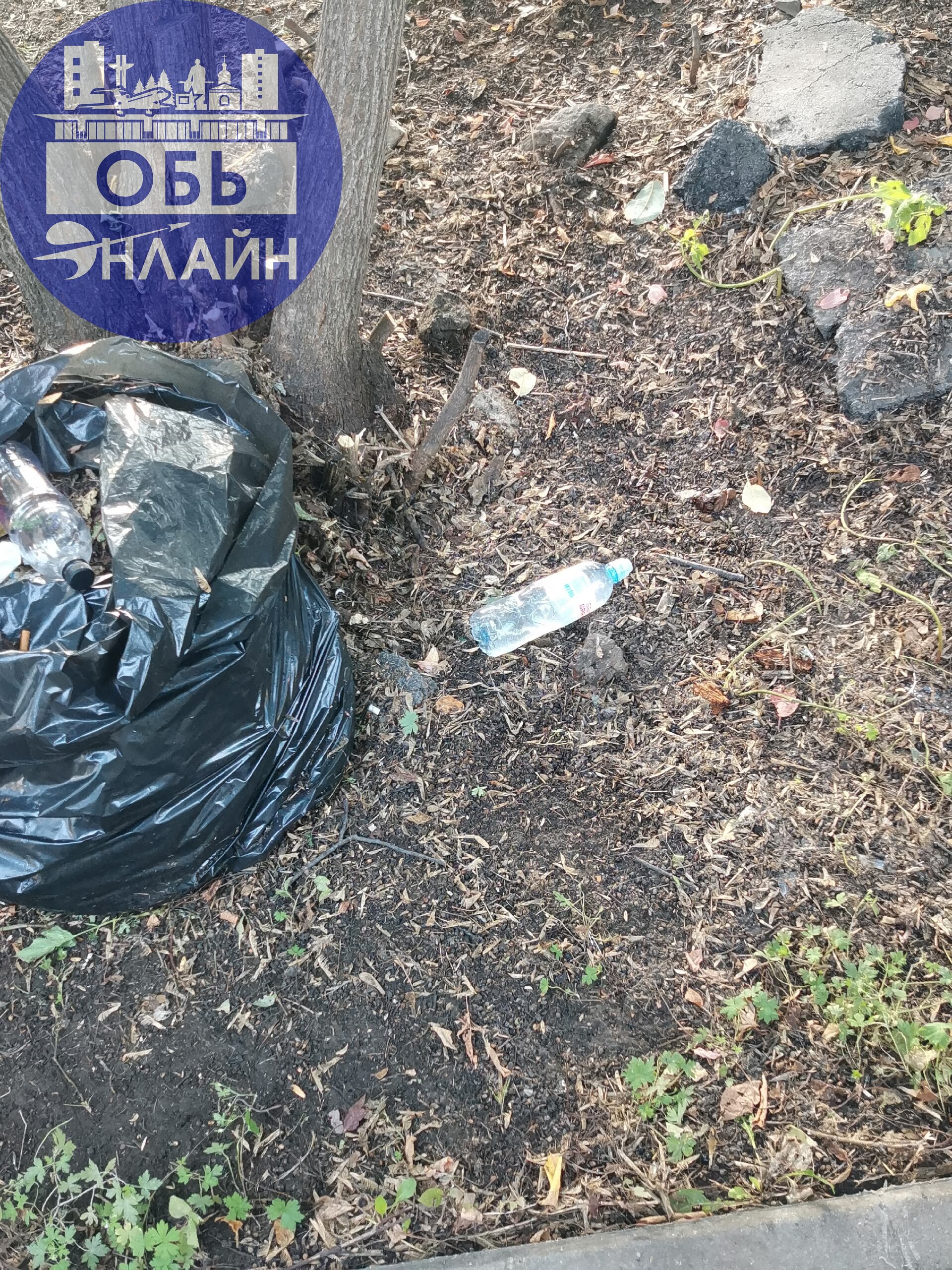 ↗ Жители улицы Октябрьская, поговорите со своими детьми и собой, проведите анализ, почему вы или ваши детки такие свиньи

Выйти помочь? Нет, ни в коем случае, будем в окно наблюдать, а потом придем и ... | Сетка — социальная сеть от hh.ru