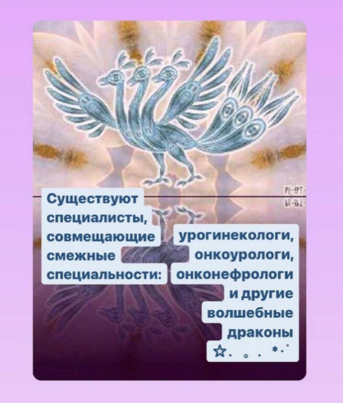 Нефролог или Уролог: когда к кому? | Сетка — социальная сеть от hh.ru