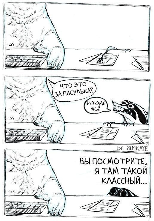 Скоро начнётся период активного найма, но уже сейчас вакансий становится больше | Сетка — социальная сеть от hh.ru