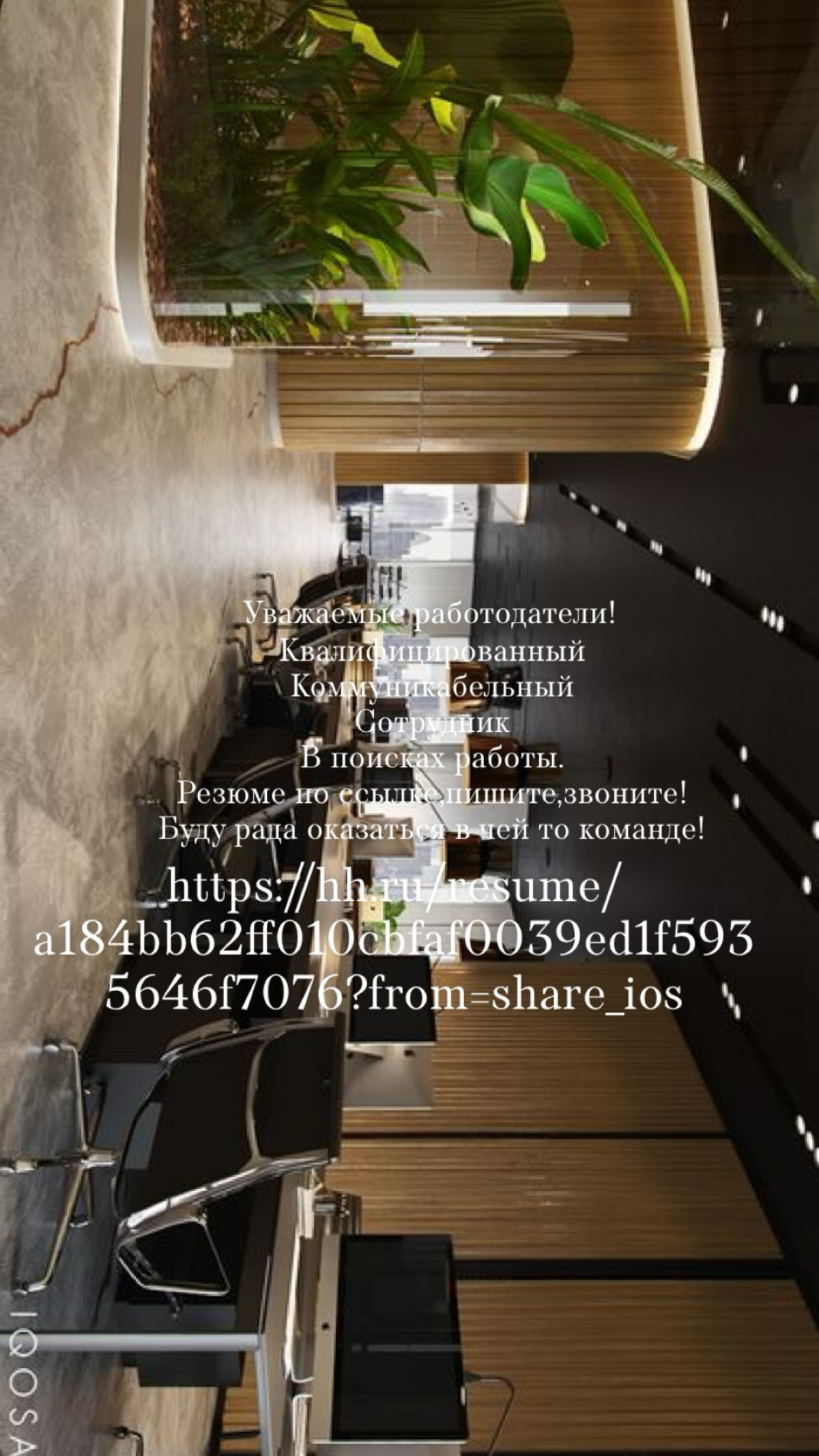 https://hh.ru/resume/a184bb62ff010cbfaf0039ed1f5935646f7076?from=shareios | Сетка — социальная сеть от hh.ru