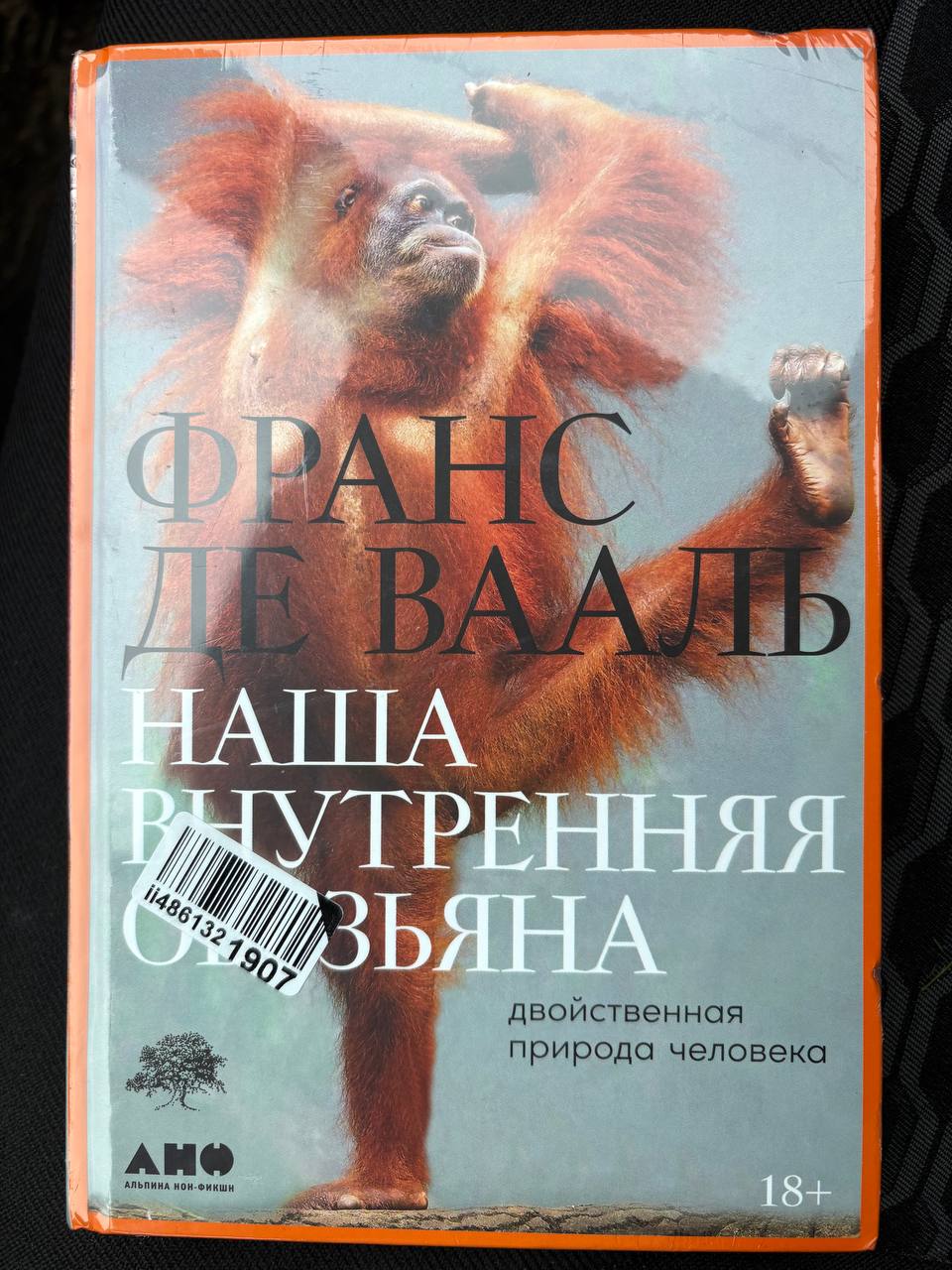 Единственная книга а саморазвитии, которую нужно прочитать | Сетка — социальная сеть от hh.ru